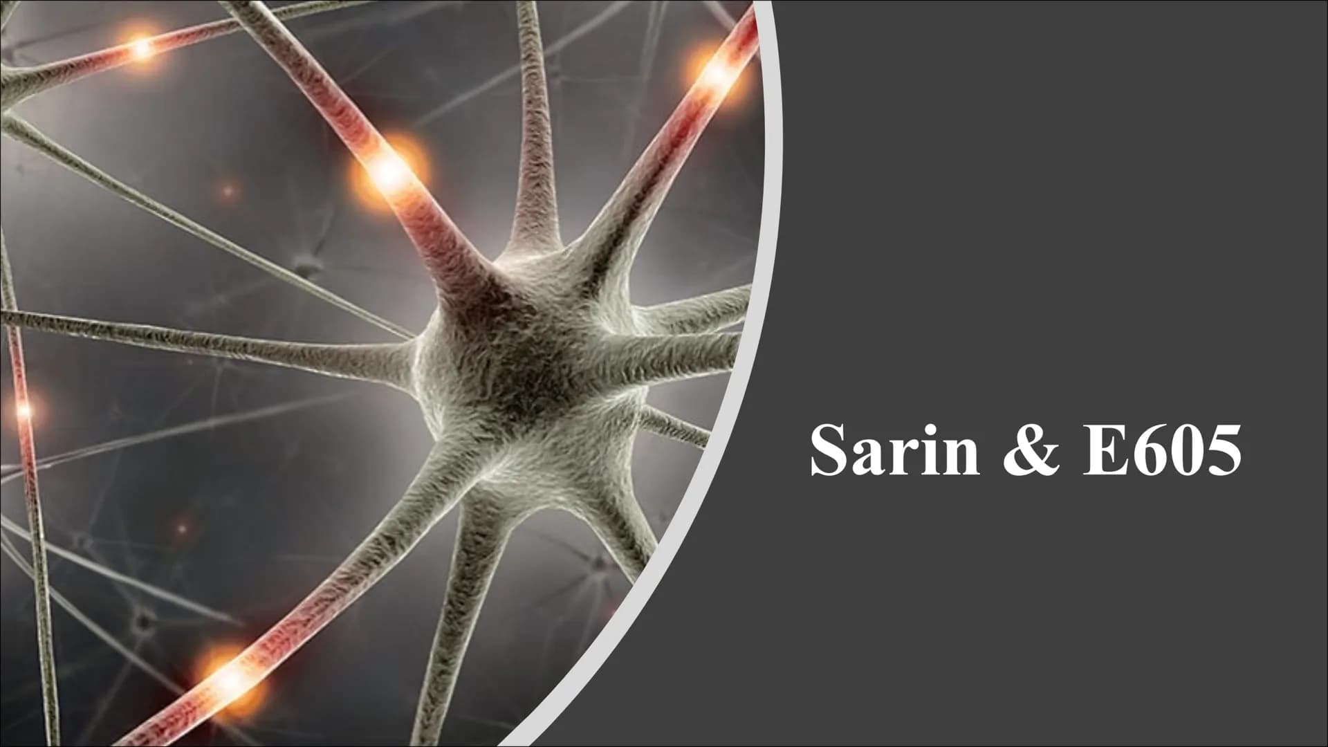 Sarin & E605 Themen
Geschichte und Entdeckung
Eigenschaften
Wirkungsweise
Symptome
●
●
●
●
●
●
●
●
Konzentrationsveränderungen
Gegengifte
Zu