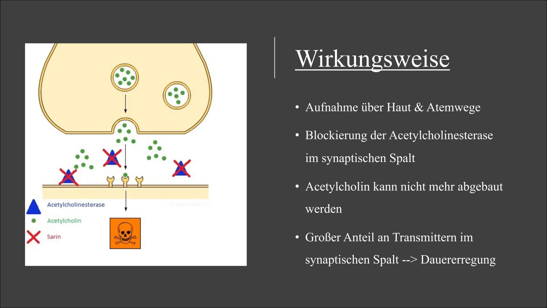 Sarin & E605 Themen
Geschichte und Entdeckung
Eigenschaften
Wirkungsweise
Symptome
●
●
●
●
●
●
●
●
Konzentrationsveränderungen
Gegengifte
Zu