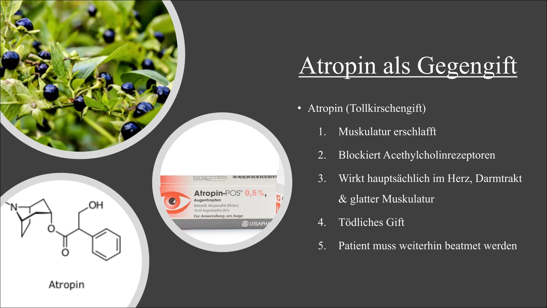 Sarin & E605 Themen
Geschichte und Entdeckung
Eigenschaften
Wirkungsweise
Symptome
●
●
●
●
●
●
●
●
Konzentrationsveränderungen
Gegengifte
Zu