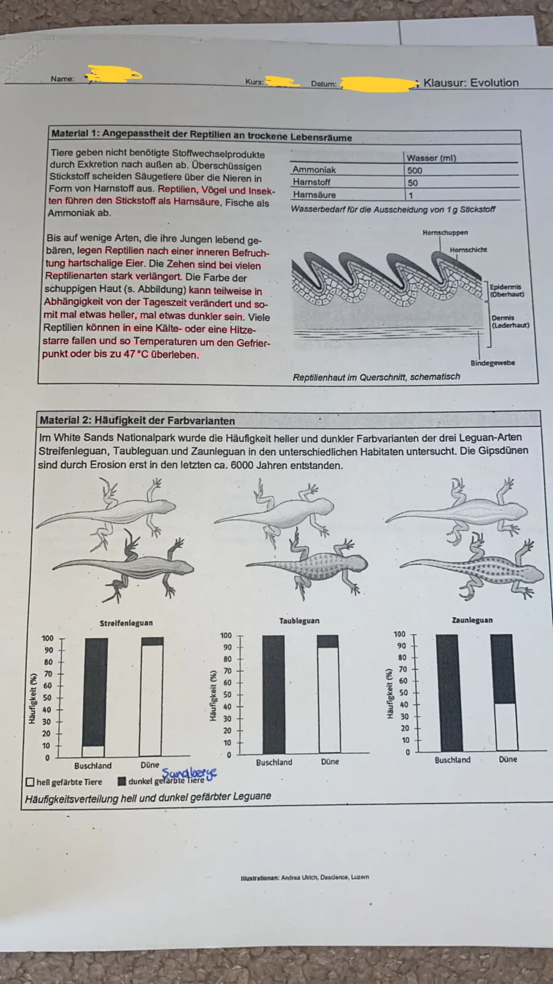 Klausur Evolution 