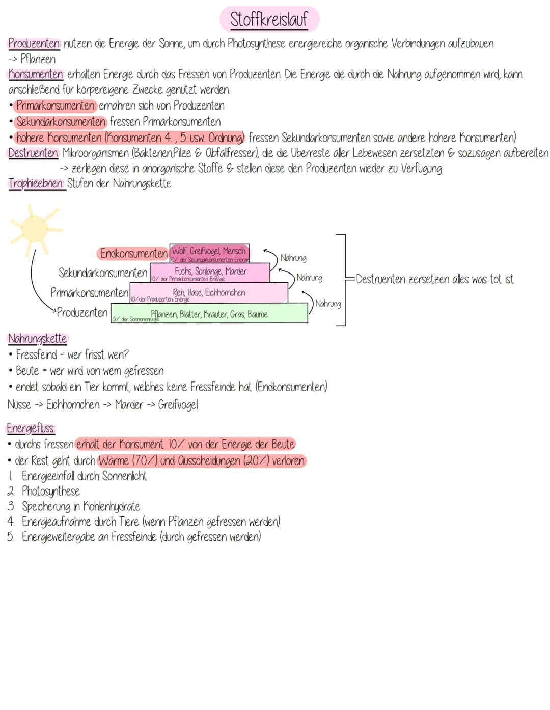 Stoffkreislauf
Produzenten nutzen die Energie der Sonne, um durch Photosynthese energiereiche organische Verbindungen aufzubauen
→> Pflanzen
