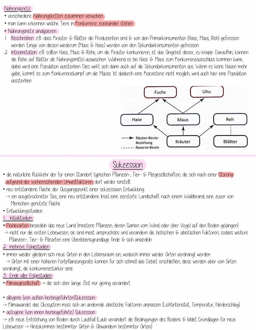 Stoffkreislauf
Produzenten nutzen die Energie der Sonne, um durch Photosynthese energiereiche organische Verbindungen aufzubauen
→> Pflanzen