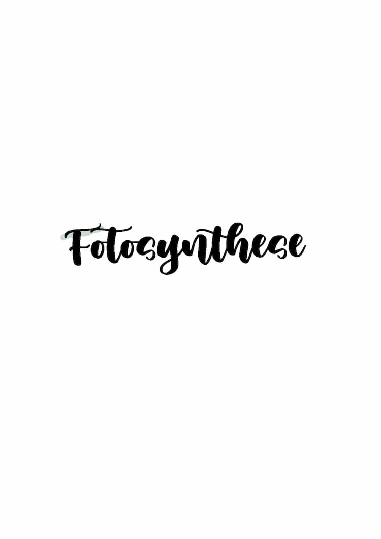 Know Fotosynthese  thumbnail