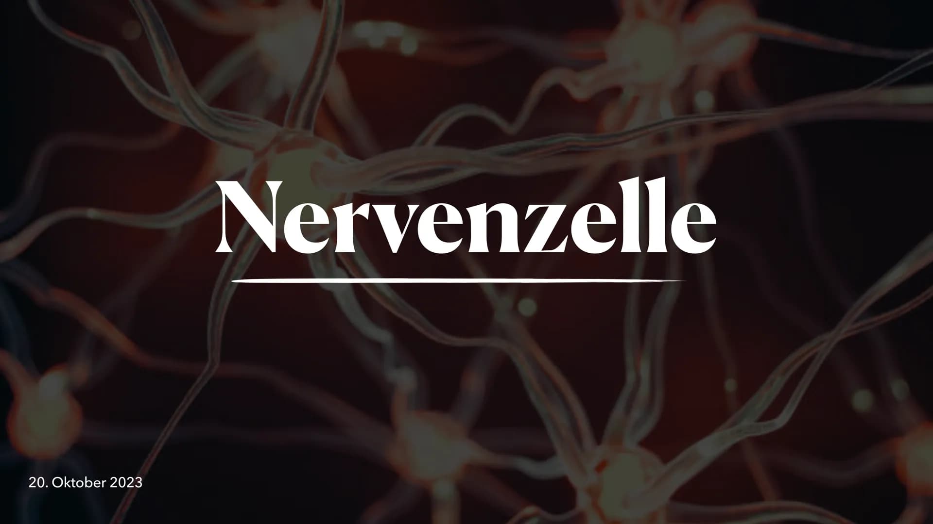 20. Oktober 2023
Nervenzelle Gliederung
Nervenzelle
Definition
Reiz und Reaktion
3. Aufbau der Nervenzelle
4. Funktionen der Bestandteile
5.