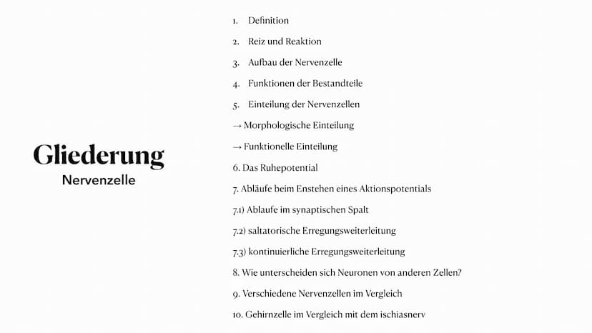 20. Oktober 2023
Nervenzelle Gliederung
Nervenzelle
Definition
Reiz und Reaktion
3. Aufbau der Nervenzelle
4. Funktionen der Bestandteile
5.