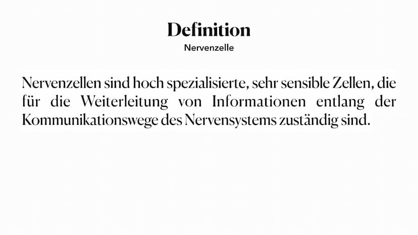 20. Oktober 2023
Nervenzelle Gliederung
Nervenzelle
Definition
Reiz und Reaktion
3. Aufbau der Nervenzelle
4. Funktionen der Bestandteile
5.