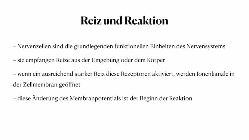 20. Oktober 2023
Nervenzelle Gliederung
Nervenzelle
Definition
Reiz und Reaktion
3. Aufbau der Nervenzelle
4. Funktionen der Bestandteile
5.