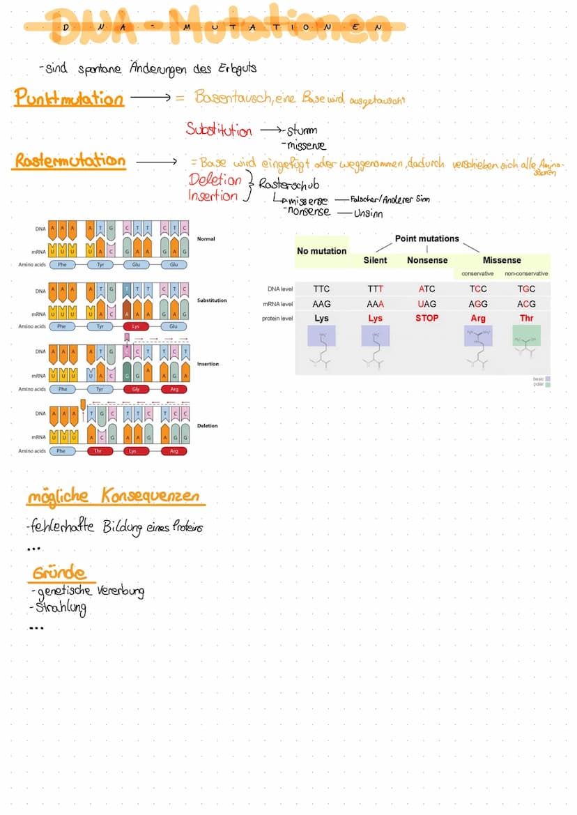 DNA
Desoxyribonuclein Säure DNS (dt.) DWA (eng.)
-bestehen aus Nucleotiden → Zucker + Phosphat + Base
-Doppelhe(it (Doppelstrang & antipara 