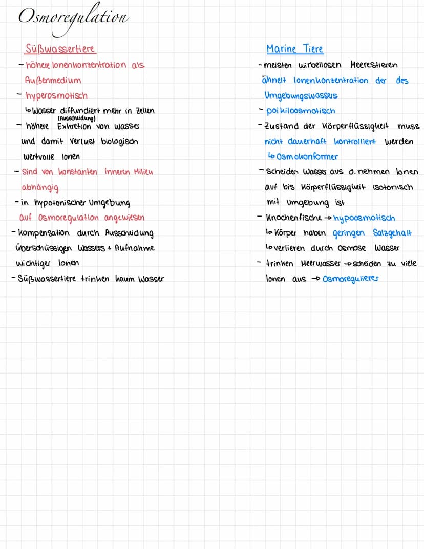 homoiotherm → gleich warm
poikilotherm →wechselwarm
Säugetiere = homoiotherm
Insekten/Reptilien
Fische
OKOLOGIE
endotherme Tiere
Säugetiere 
