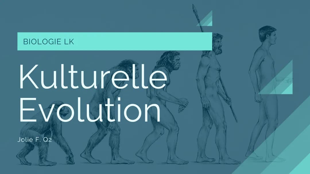 Kulturelle Evolution: Merkmale und Steinzeit-Werkzeuge