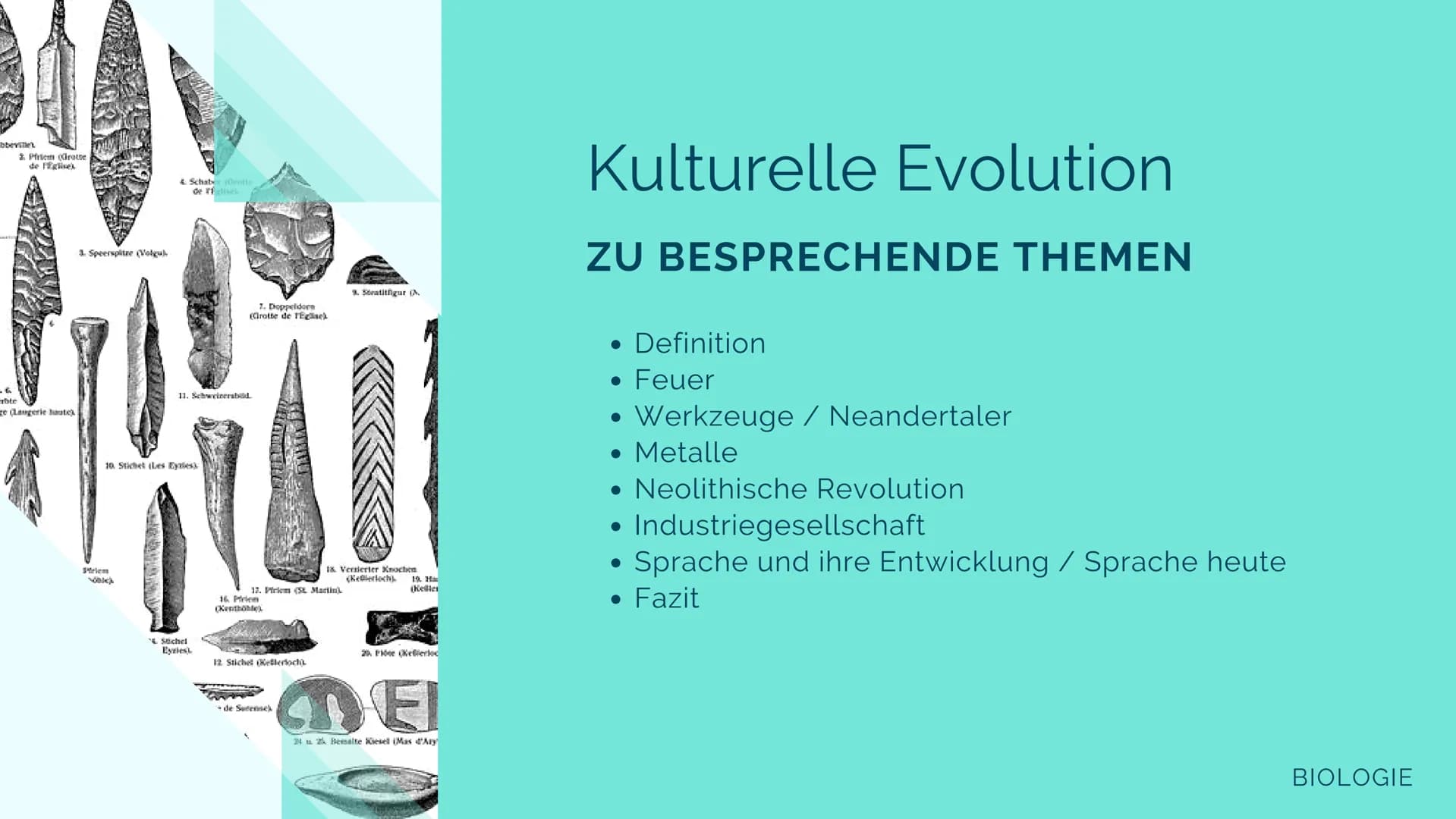 BIOLOGIE LK
Kulturelle
Evolution
Jolie F. Q2
T bbeville
Prem Krotte
ble
ge (Langerie hate)
3 Speerspitze (Volguk
10 Stichet (Les Eyes)
Priem