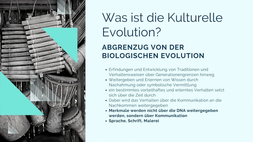 BIOLOGIE LK
Kulturelle
Evolution
Jolie F. Q2
T bbeville
Prem Krotte
ble
ge (Langerie hate)
3 Speerspitze (Volguk
10 Stichet (Les Eyes)
Priem