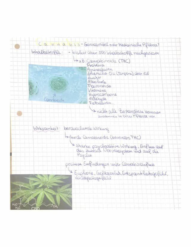Know Steckbrief zu Cannabis und eine Hausaufgabe zu einem anderen Thema thumbnail