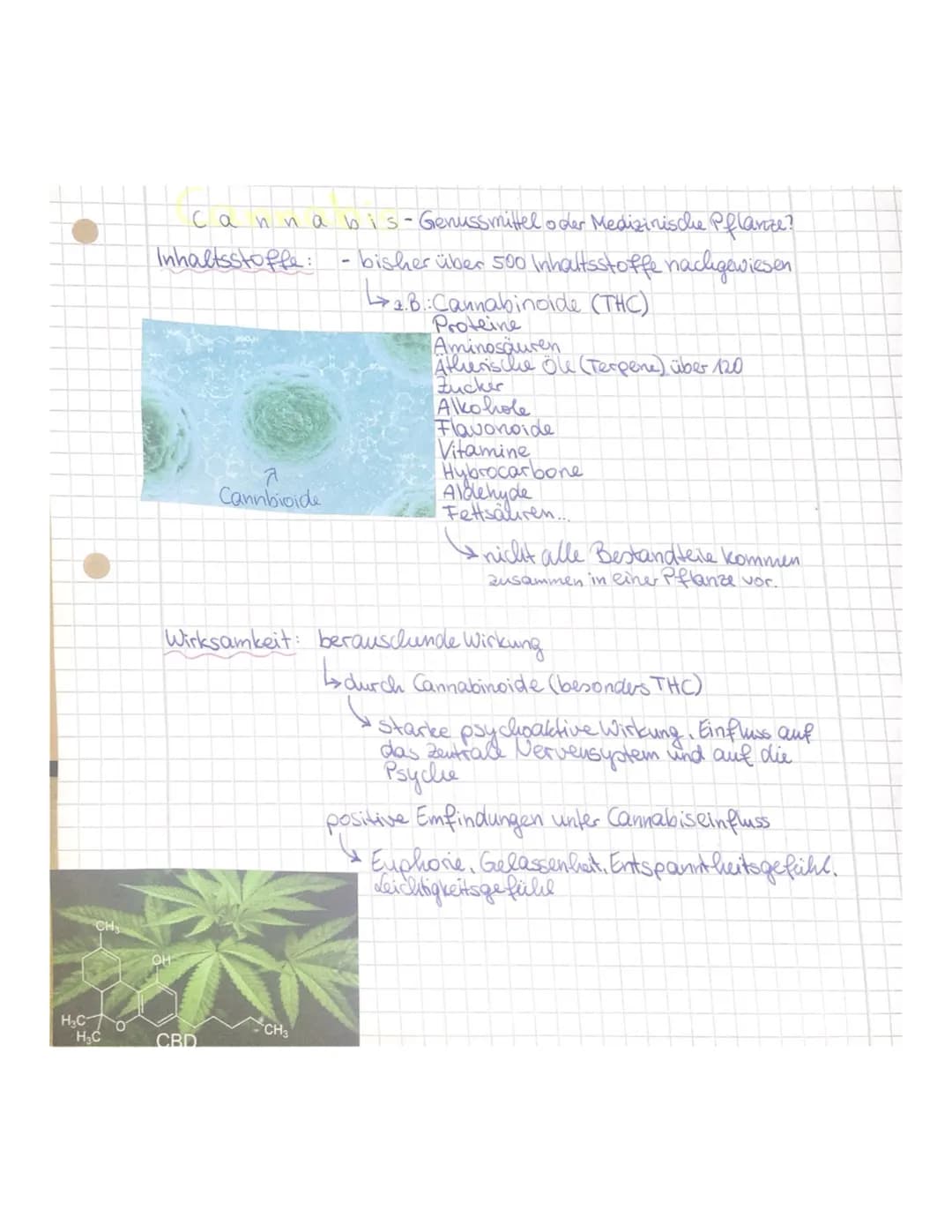 H₂C
H₂C
Cannabis - Genussmittel oder Medizinische Pflanze?
Inhaltsstoffe: - bisher über 500 Inhaltsstoffe nachgewiesen
4₁.B.: Cannabinoide (