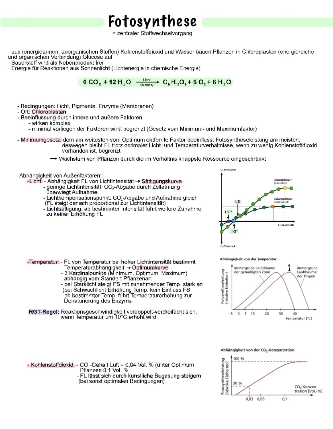 Alles über Fotosynthese: Außeneinflüsse, Chloroplasten und mehr