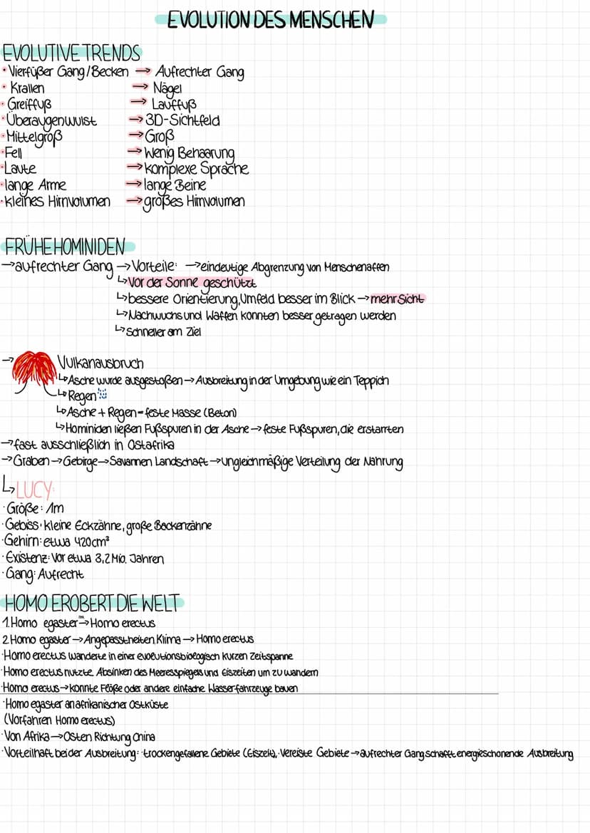 2 KLAUSUR EVOLUTION
ARTBILDUNG
allos-andersi patria-Heimat
ALLOPATRISCHE Entstehung einer neuen Art im Gebiet der Ursprungsart durch räumeic