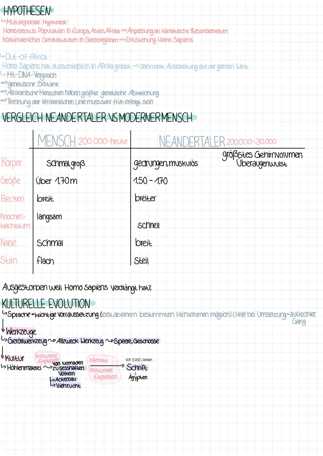 2 KLAUSUR EVOLUTION
ARTBILDUNG
allos-andersi patria-Heimat
ALLOPATRISCHE Entstehung einer neuen Art im Gebiet der Ursprungsart durch räumeic