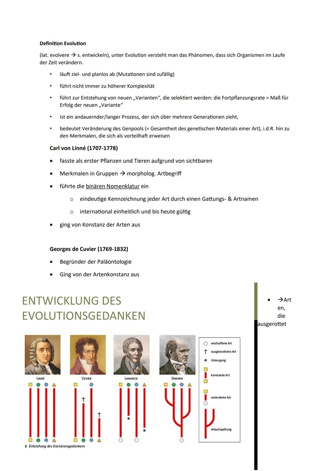 Biologie -Evolution
Die Entstehung der Arten nach Lamarck und Darwin erklären können.
Die synthetische Evolutionstheorie anhand von Beispiel