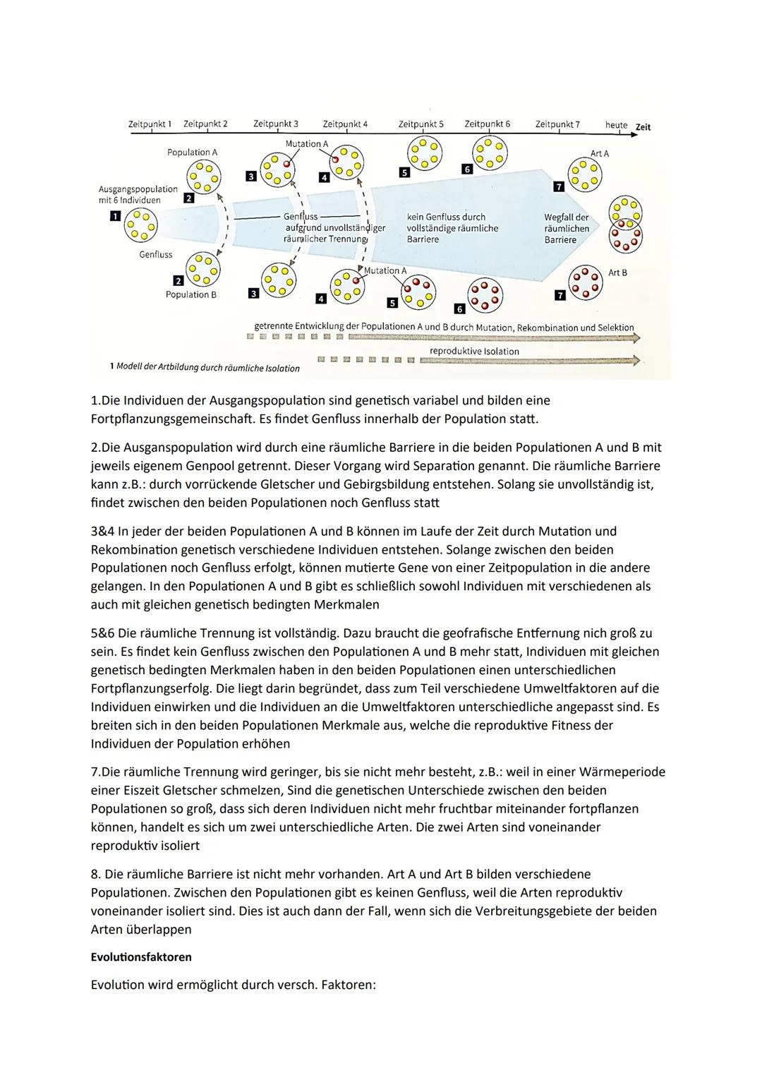 Biologie -Evolution
Die Entstehung der Arten nach Lamarck und Darwin erklären können.
Die synthetische Evolutionstheorie anhand von Beispiel