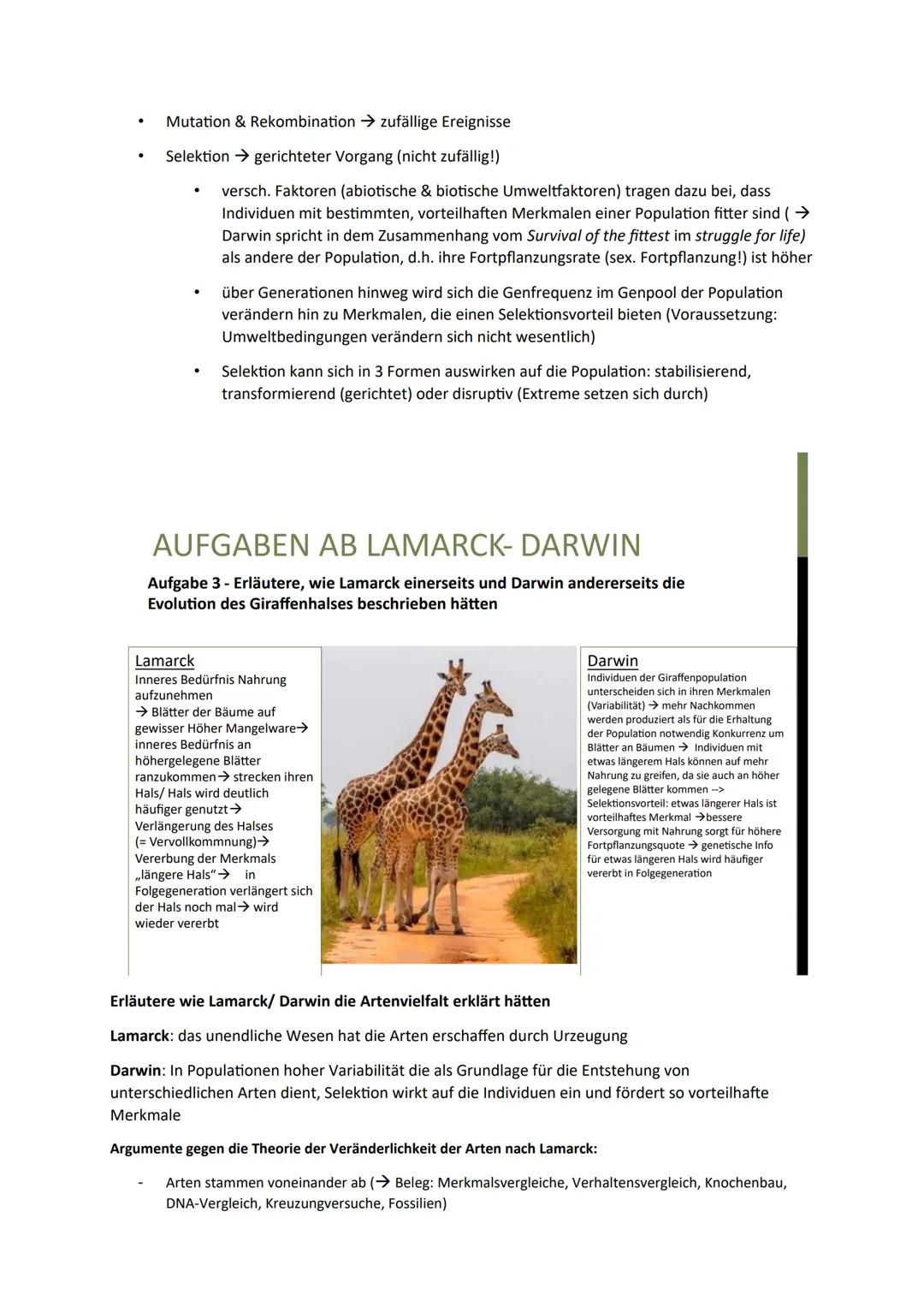 Biologie -Evolution
Die Entstehung der Arten nach Lamarck und Darwin erklären können.
Die synthetische Evolutionstheorie anhand von Beispiel