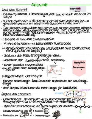 Know Enzyme  thumbnail