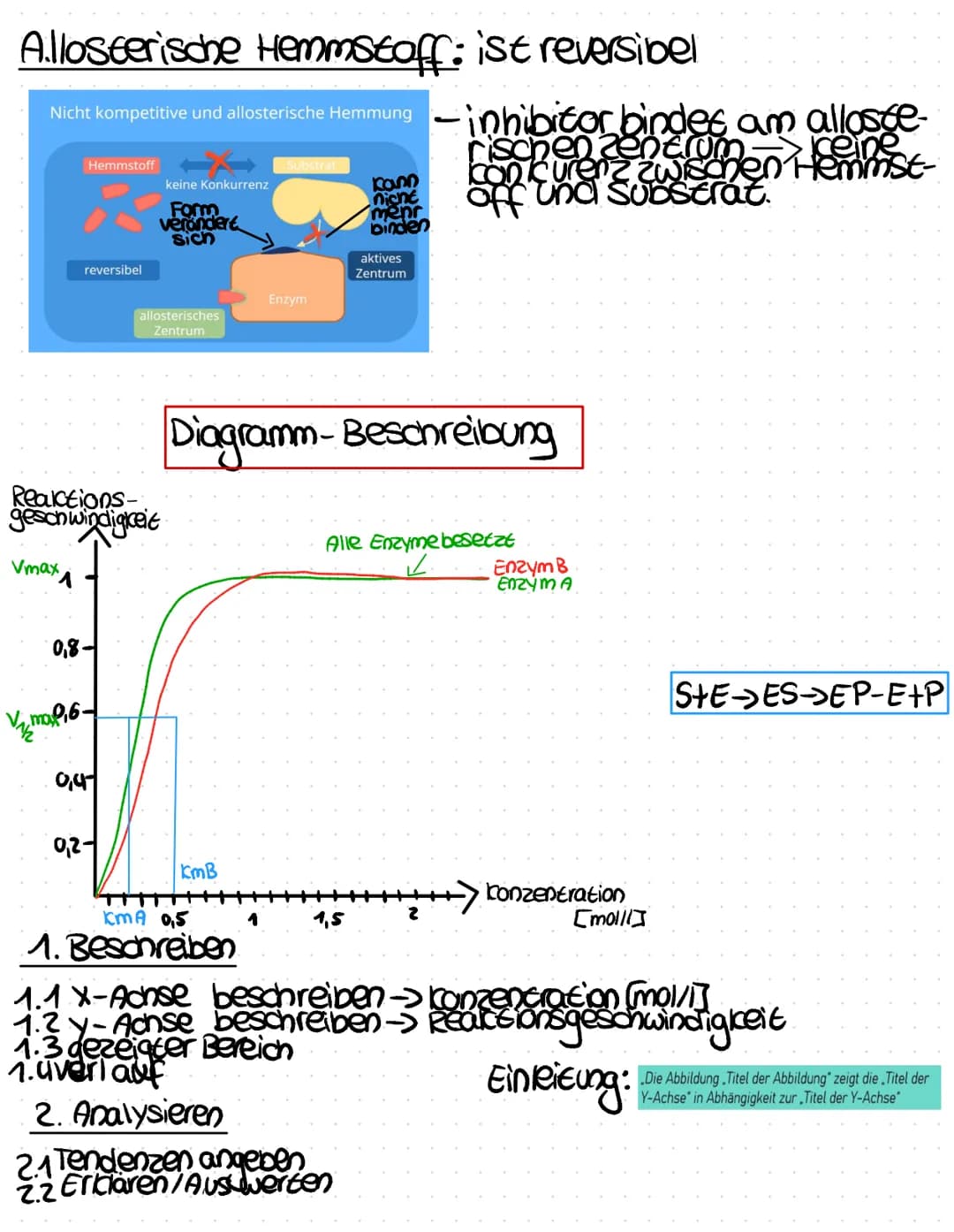 Was sind Enzyme?:
Biokatalysatoren->
Substratspezifisch→ die struktur des aktiven zentrums ist so
gestaltet, dass nur ein bestimmtes Substra