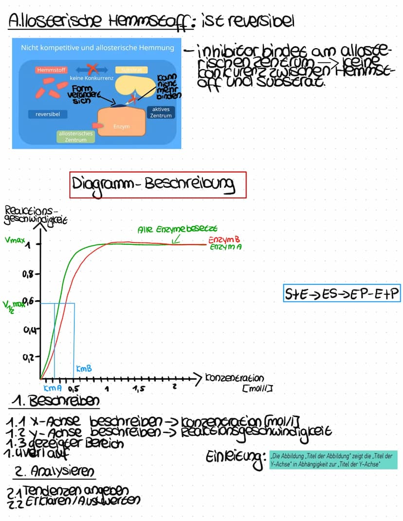 Was sind Enzyme?:
Biokatalysatoren->
Substratspezifisch→ die struktur des aktiven zentrums ist so
gestaltet, dass nur ein bestimmtes Substra
