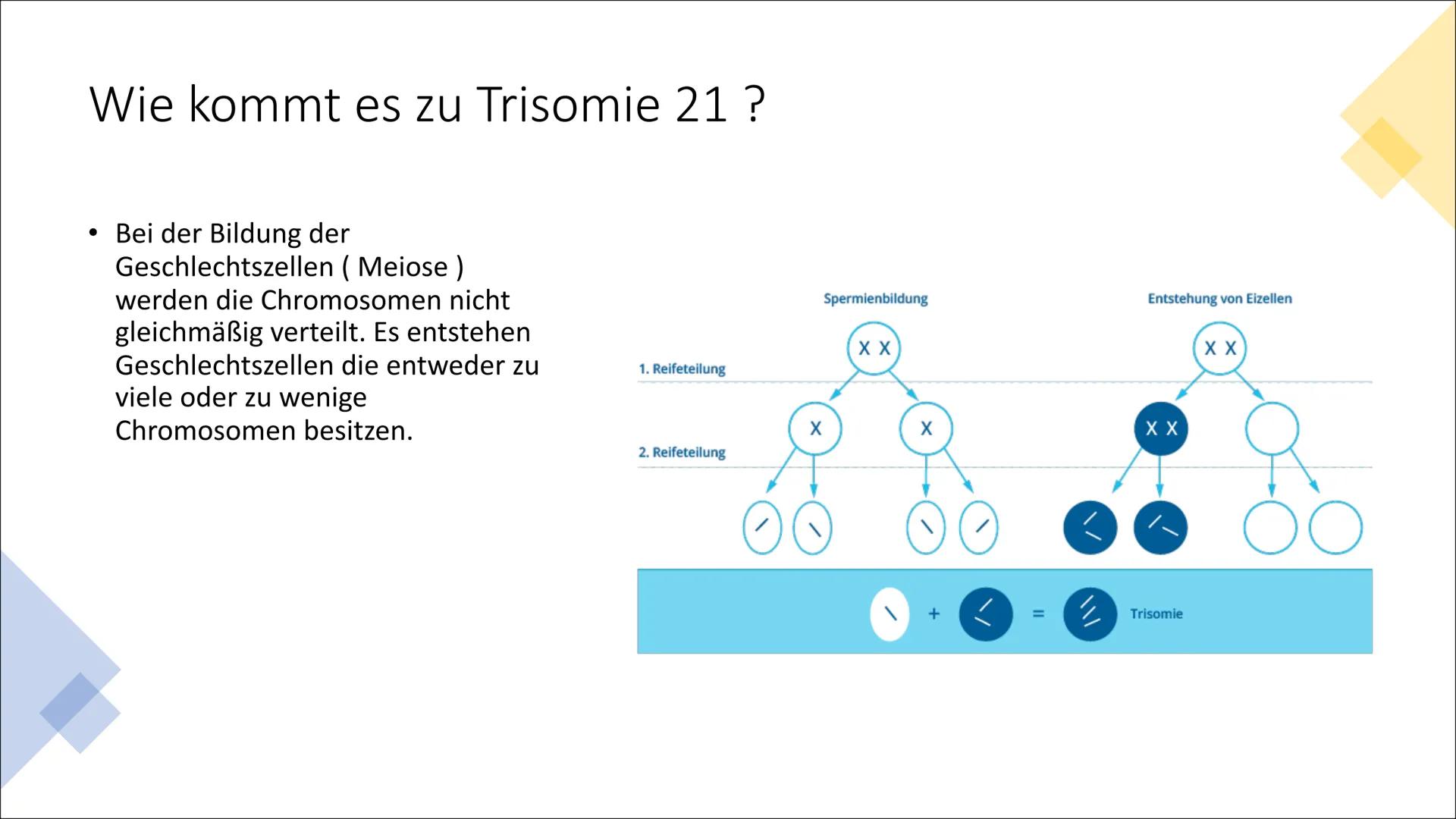 Down Syndrom/Trisomie 21
Power Point Präsentation von
Max Inhaltsverzeichnis
•
Was ist Trisomie 21 ?
• Geschichte von Trisomie 21
• Wie komm