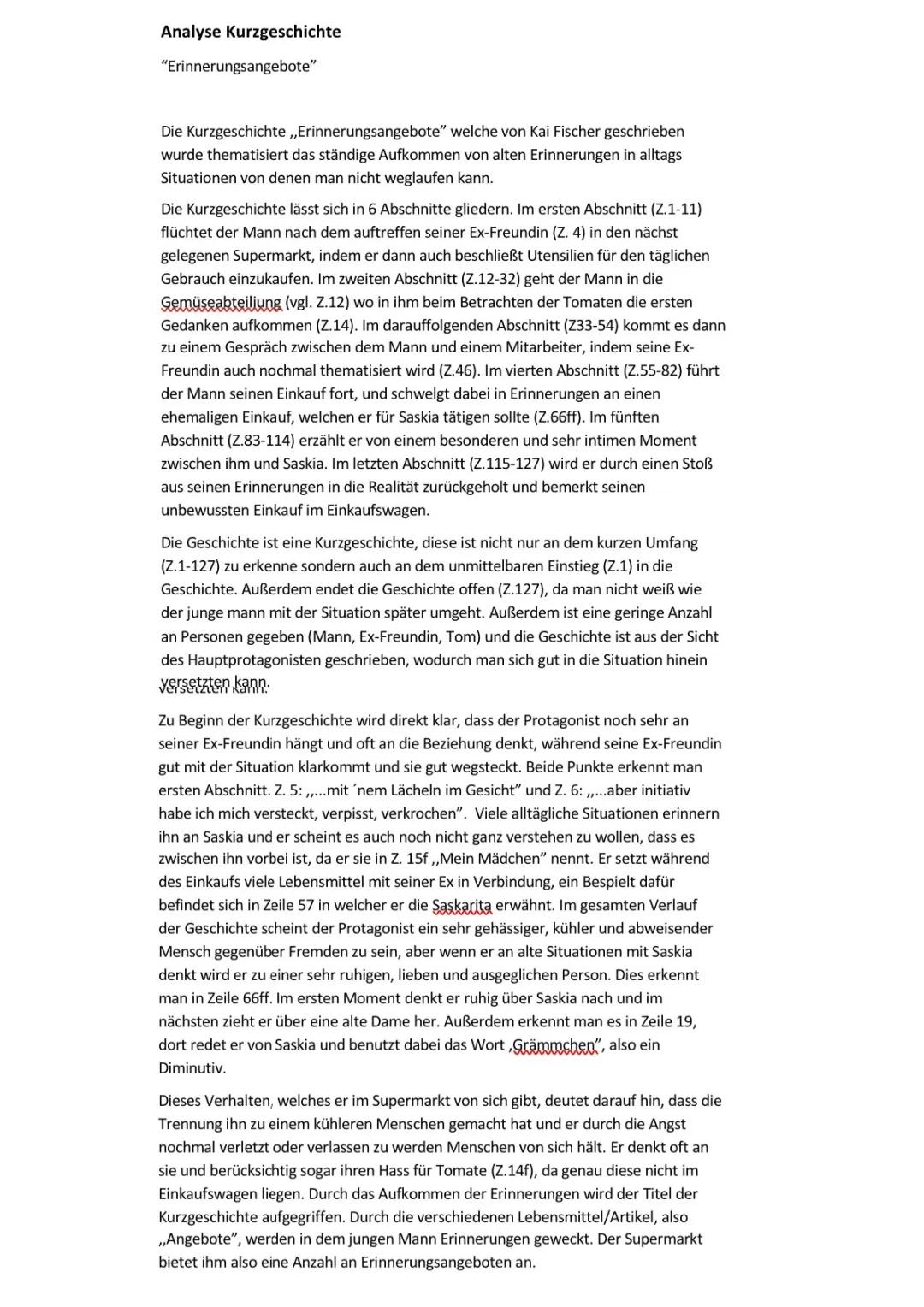 Analyse zur Kurzgeschichte ,Erinnerrungsangebote‘