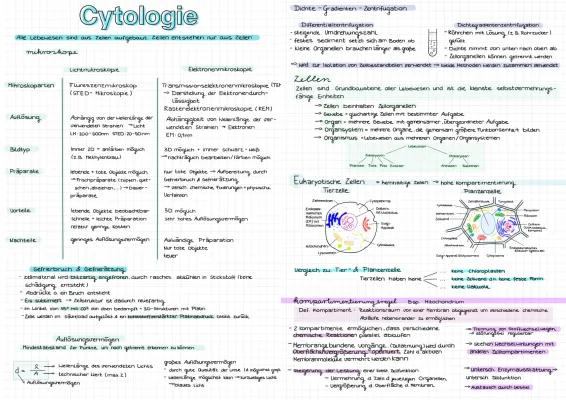 Know Cytologie Abi Zusammenfassung  thumbnail