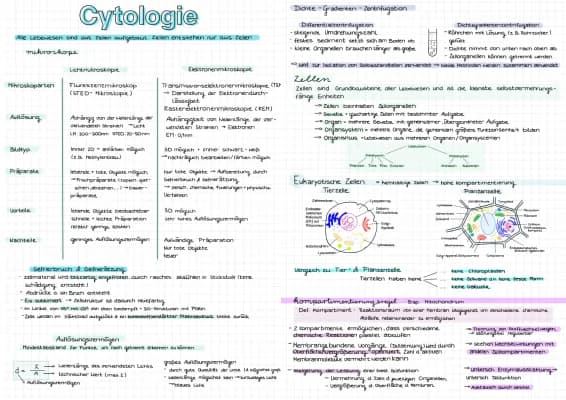 Know Cytologie Abi Zusammenfassung  thumbnail