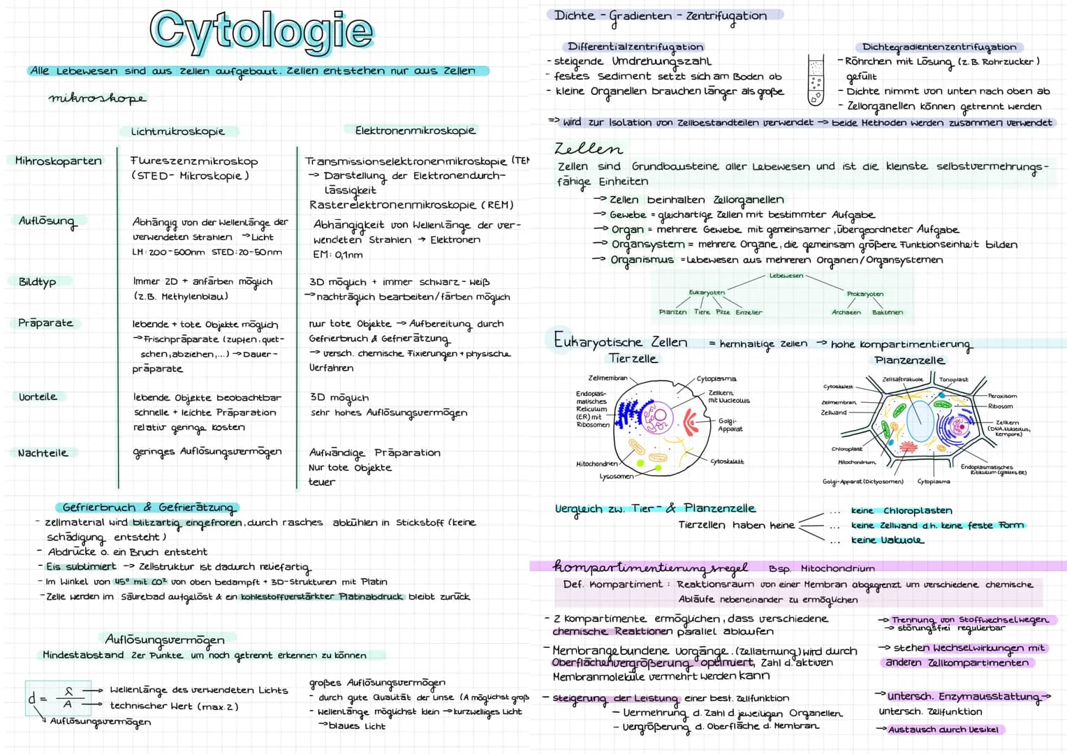 Cytologie
Alle Lebewesen sind aus Zellen aufgebaut. Zellen entstehen nur aus Zellen
mikroskope
Mikroskoparten
Auflösung
Bildtyp
Präparate
Uo