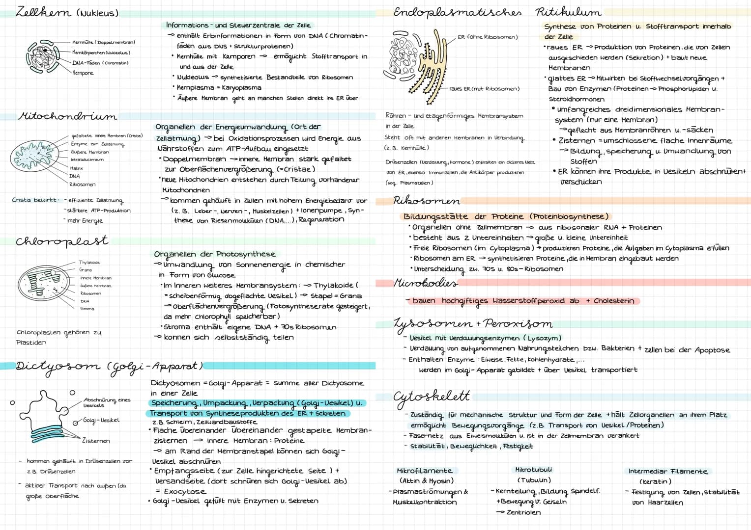 Cytologie
Alle Lebewesen sind aus Zellen aufgebaut. Zellen entstehen nur aus Zellen
mikroskope
Mikroskoparten
Auflösung
Bildtyp
Präparate
Uo