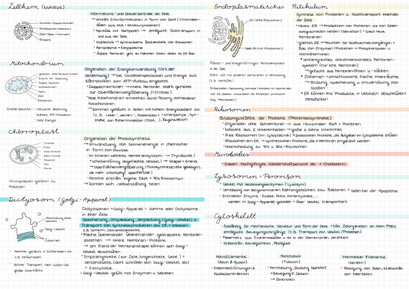Cytologie
Alle Lebewesen sind aus Zellen aufgebaut. Zellen entstehen nur aus Zellen
mikroskope
Mikroskoparten
Auflösung
Bildtyp
Präparate
Uo