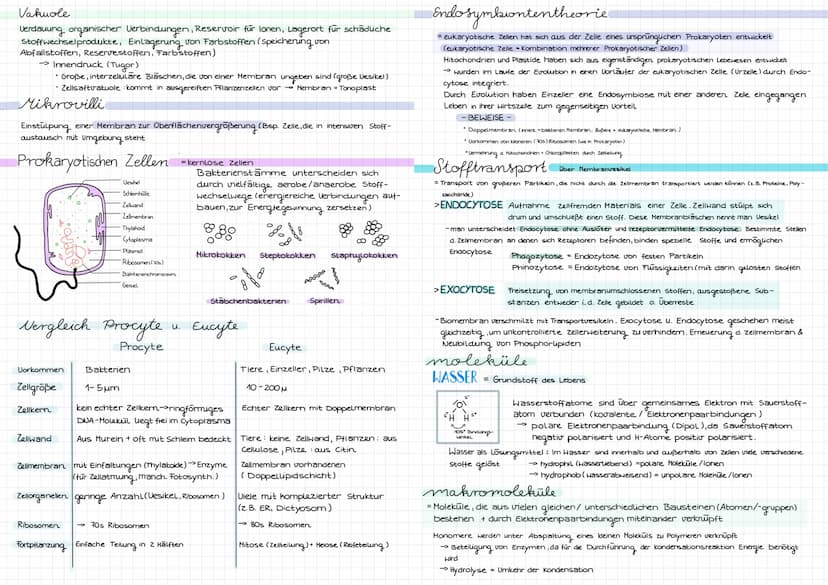 Cytologie
Alle Lebewesen sind aus Zellen aufgebaut. Zellen entstehen nur aus Zellen
mikroskope
Mikroskoparten
Auflösung
Bildtyp
Präparate
Uo