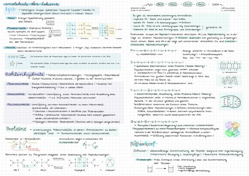Cytologie
Alle Lebewesen sind aus Zellen aufgebaut. Zellen entstehen nur aus Zellen
mikroskope
Mikroskoparten
Auflösung
Bildtyp
Präparate
Uo