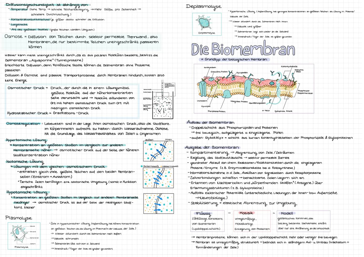 Cytologie
Alle Lebewesen sind aus Zellen aufgebaut. Zellen entstehen nur aus Zellen
mikroskope
Mikroskoparten
Auflösung
Bildtyp
Präparate
Uo