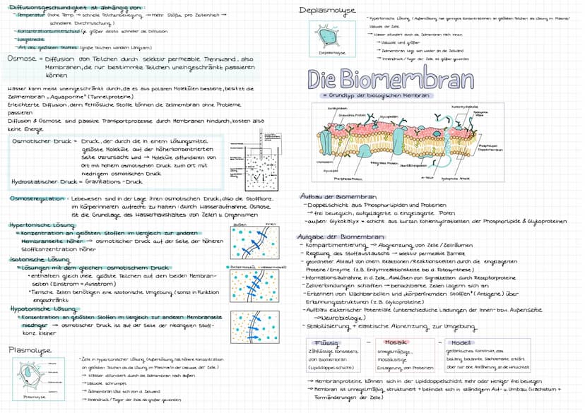 Cytologie
Alle Lebewesen sind aus Zellen aufgebaut. Zellen entstehen nur aus Zellen
mikroskope
Mikroskoparten
Auflösung
Bildtyp
Präparate
Uo