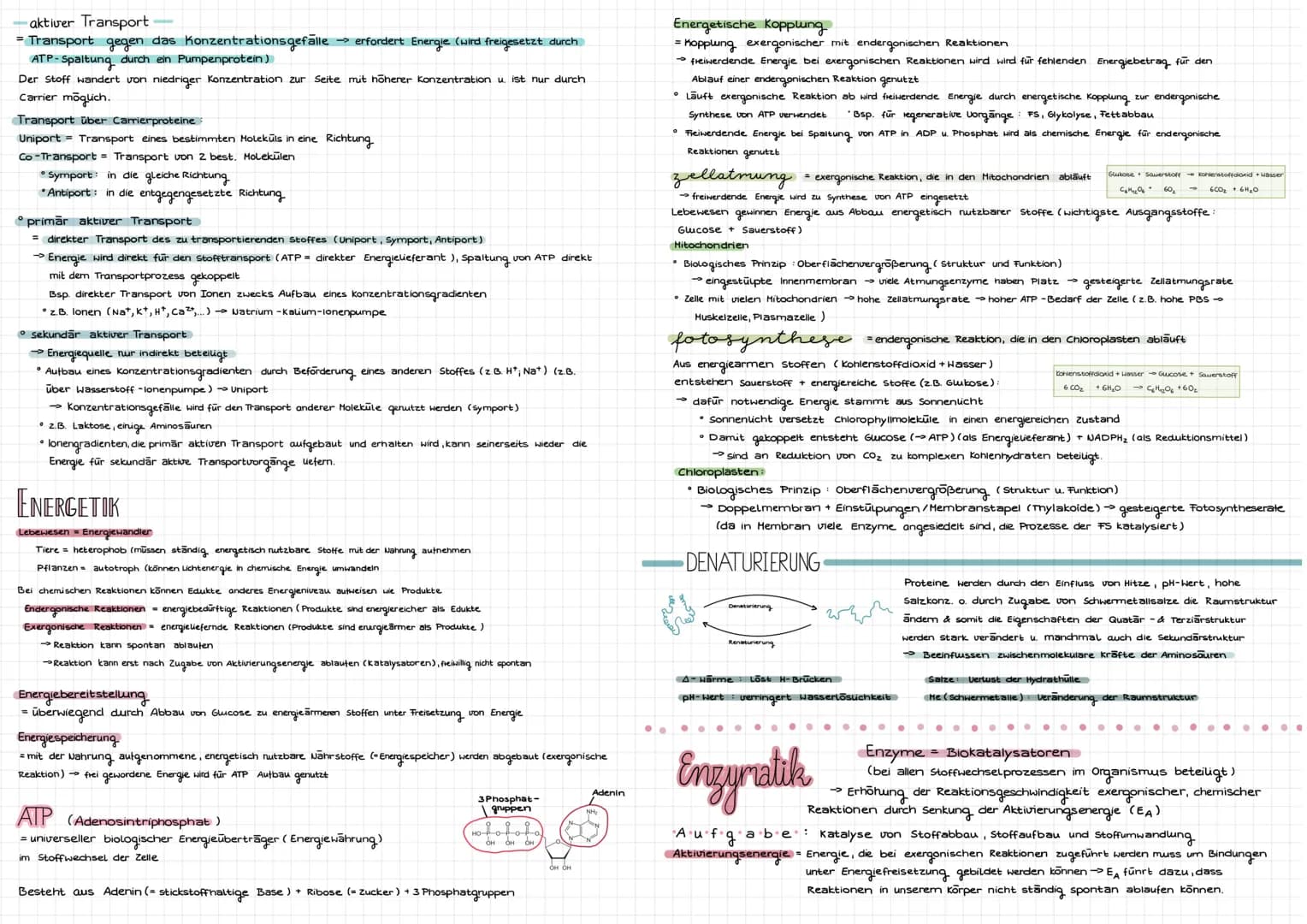 Cytologie
Alle Lebewesen sind aus Zellen aufgebaut. Zellen entstehen nur aus Zellen
mikroskope
Mikroskoparten
Auflösung
Bildtyp
Präparate
Uo