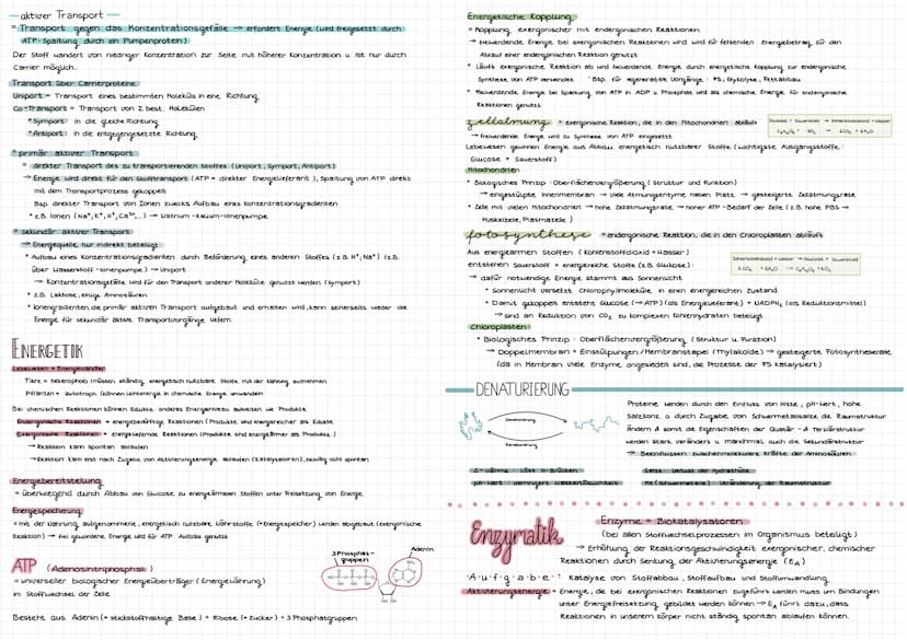 Cytologie
Alle Lebewesen sind aus Zellen aufgebaut. Zellen entstehen nur aus Zellen
mikroskope
Mikroskoparten
Auflösung
Bildtyp
Präparate
Uo