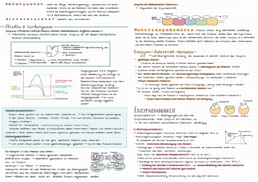 Cytologie
Alle Lebewesen sind aus Zellen aufgebaut. Zellen entstehen nur aus Zellen
mikroskope
Mikroskoparten
Auflösung
Bildtyp
Präparate
Uo