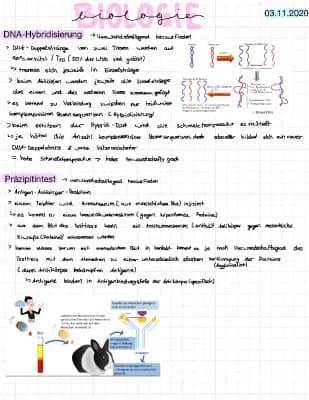 Know Präzipitintest und DNA-Hybridisierung  thumbnail