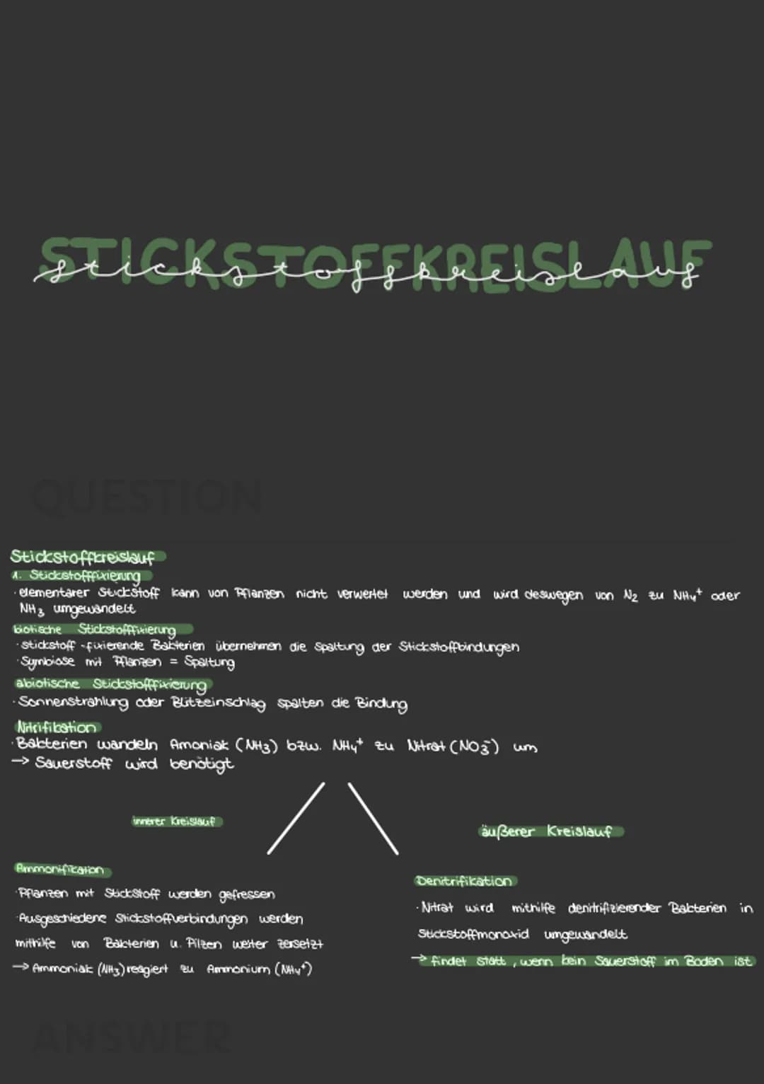 STICKSTOFFKREISLAUF
Stickstoffkreislauf
1. Stickstofffixierung
elementarer Stickstoff kann von Pflanzen nicht verwertet werden und wird desw