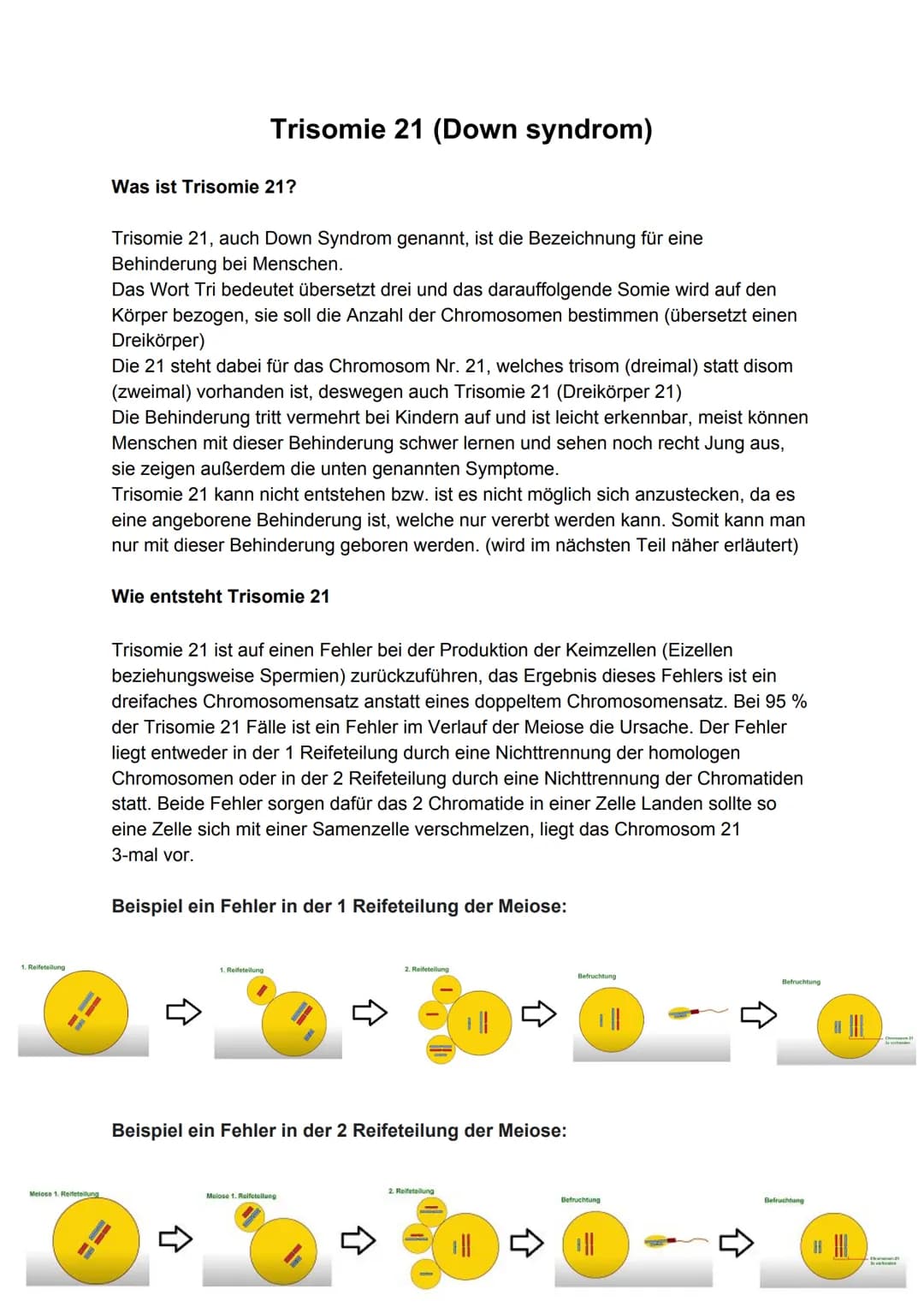 1. Reifetellung
Melose 1. Reifetellung
Trisomie 21 (Down syndrom)
Was ist Trisomie 21?
Trisomie 21, auch Down Syndrom genannt, ist die Bezei