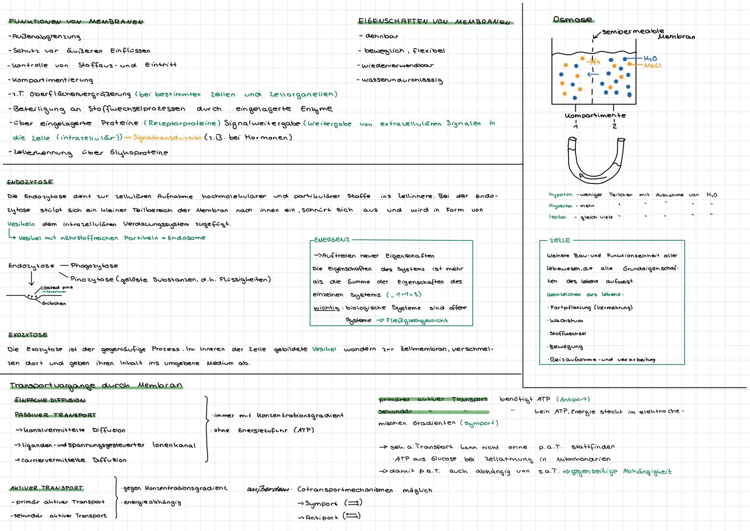 PLASTIDE
Golgi
Apparat
PFLANZENZELLE
Chromatin
Demb
Dellwand
(Thylahoide) durchzogen
- gestapelte Thylahoide:
Grana
- Chromoplasten: verursa
