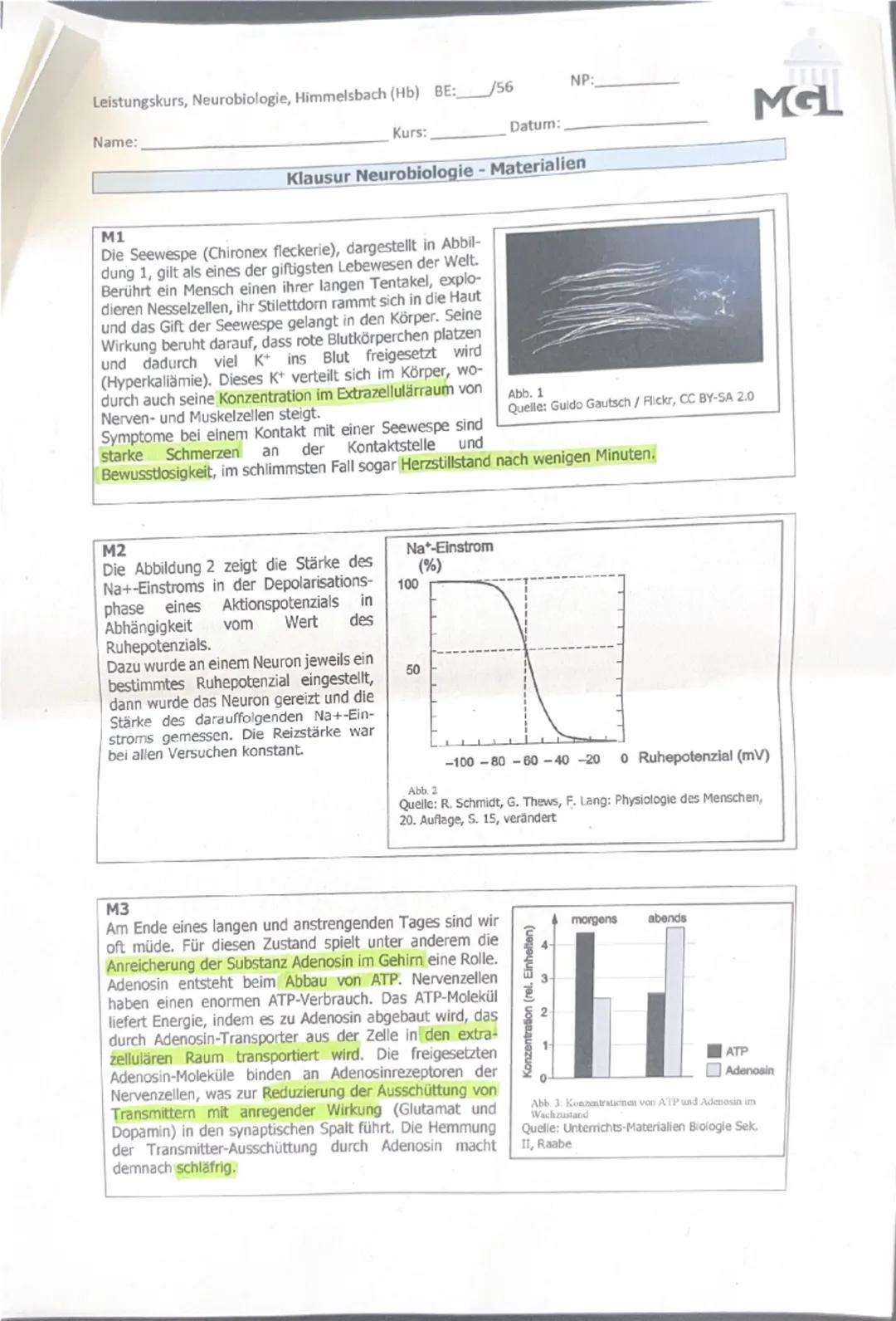 --- OCR Start ---
Leistungskurs, Neurobiologie, Himmelsbach (Hb) BE: 43/56
Name: Viven
Kurs:
NP: 12 12
Datum:
Klausur Neurobiologie
Aufgaben