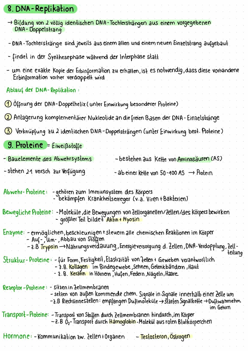 1. Zelle als Grundeinheit des Lebens
Pflanzliche Zelle
Vakuole
Zellmembran
Zellwand
Chloroplast
Mitochondrium
VA
raues ER
Dictyosomen (mit R