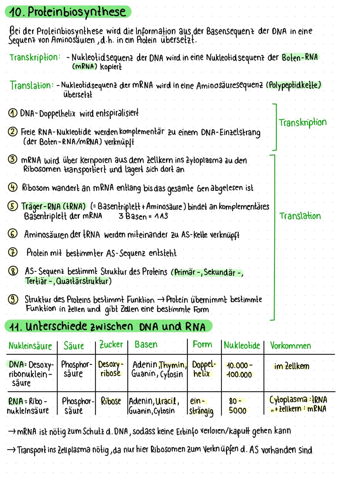 1. Zelle als Grundeinheit des Lebens
Pflanzliche Zelle
Vakuole
Zellmembran
Zellwand
Chloroplast
Mitochondrium
VA
raues ER
Dictyosomen (mit R