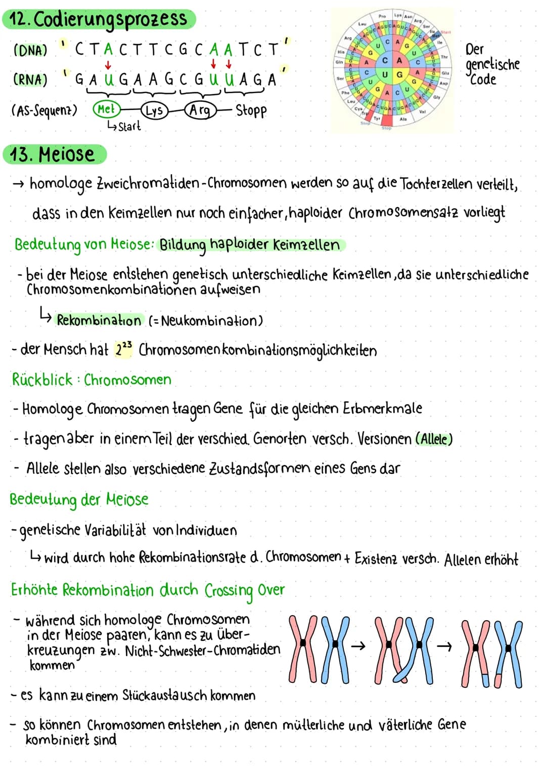 1. Zelle als Grundeinheit des Lebens
Pflanzliche Zelle
Vakuole
Zellmembran
Zellwand
Chloroplast
Mitochondrium
VA
raues ER
Dictyosomen (mit R