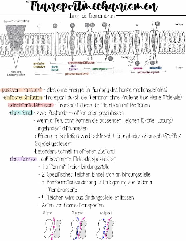 Know Transportmechanismen durch die Biomembran  thumbnail